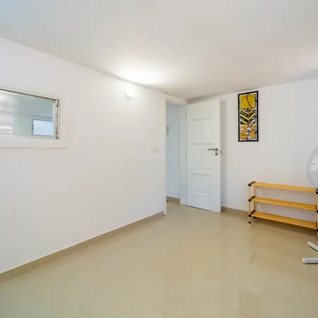 Camelia Las Galletas