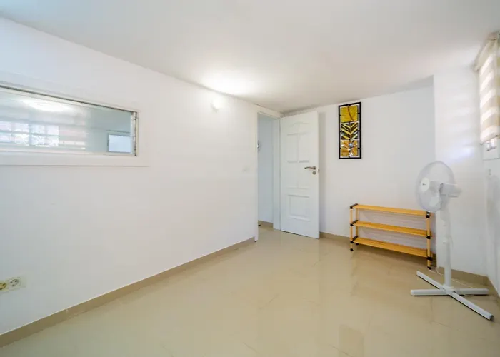 Camelia Las Galletas