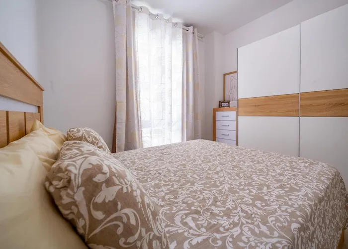 Camelia Las Galletas