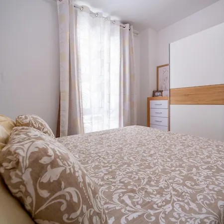 Camelia Las Galletas